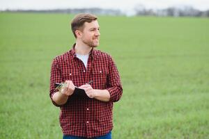 gut aussehend Bauer. jung Mann Gehen im Grün Feld. Frühling Landwirtschaft. foto