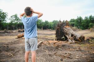 Abholzung, Zerstörung von laubabwerfend Wälder. Beschädigung zu Natur. Europa foto