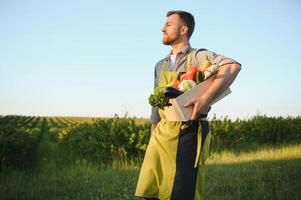 Farmer Tragen Box von gepflückt Gemüse foto