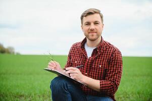 ein jung Farmer inspiziert das Qualität von Weizen Sprossen im das Feld. das Konzept von Landwirtschaft foto