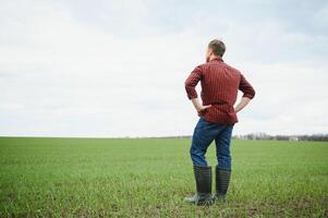 jung Farmer steht im das Grün Feld Überprüfung und warten zum Ernte zu wachsen. foto