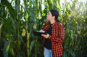 Clever Frau Farmer Agronom mit Digital Tablette zum Prüfung und inspizieren Qualität Steuerung von produzieren Mais Ernte. modern Technologien im Landwirtschaft Verwaltung und Landwirtschaft. foto