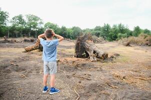 Abholzung ein traurig Junge steht im das Mitte von ein Schnitt Wald. foto