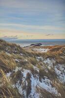 schneebedeckt Dünen beim dänisch Strand auf kalt Winter Tag foto