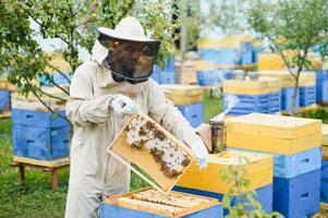 Imker Arbeiten sammeln Honig. Bienenzucht Konzept. foto