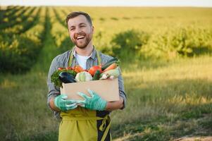 männlich Farmer halten Box mit Gemüse im Feld foto