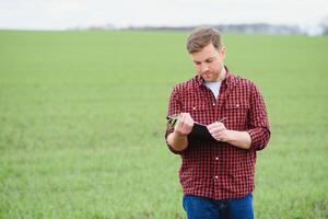 ein jung Agronom hält ein Mappe im seine Hände auf ein Grün Weizen Feld. ein Farmer macht Anmerkungen auf das Hintergrund von landwirtschaftlich Land während Sonnenuntergang. Mann im ein Deckel mit ein Mappe von Unterlagen foto