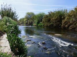 Landschaft mit städtisch Fluss im das Stadt Park foto