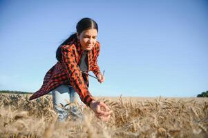 Frau Farmer Agronom Arbeiten im Korn Feld und Planung Einkommen von Ernte. weiblich Prüfung und Überprüfung Qualität Steuerung von produzieren Weizen Ernte. Landwirtschaft Verwaltung und Landwirtschaft foto