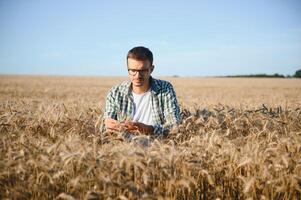 jung Agronom im Korn Feld. Müsli Landwirtschaft foto