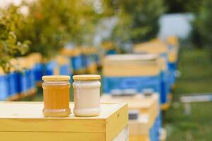 Krug von frisch Honig im ein Glas Krug. Bienenzucht Konzept. oben Sicht. Kopieren Raum. foto
