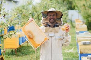 Imker ist Arbeiten mit Bienen und Bienenstöcke auf Bienenhaus. Bienen auf Bienenwabe. Frames von Biene Bienenstock. Bienenzucht. Honig. gesund Lebensmittel. natürlich Produkte. foto