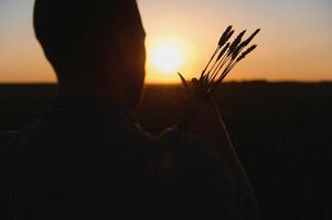 Silhouette von Mann suchen beim schön Landschaft im ein Feld beim Sonnenuntergang. foto