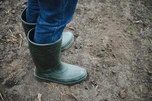 ein Farmer im Stiefel funktioniert mit seine Tablette im ein Feld gesät im Frühling. ein Agronom Spaziergänge das Erde, beurteilen ein gepflügt Feld im Herbst. Landwirtschaft. Clever Landwirtschaft Technologien foto