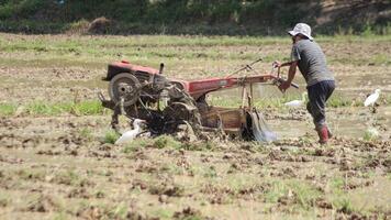 Norden ach, Indonesien, Februar 5, 2024, Bauern verwenden Hand Traktoren zu Pflug Reis Felder während das Tag foto