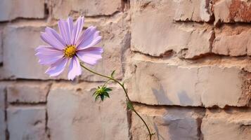 ai generiert Dekor Mauer Blume ai generiert foto