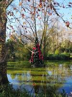 modisch Weihnachten Baum im das Park unter das See. foto