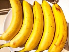 reif Bananen. exotisch tropisch Gelb Frucht. Banane Symbol von Gesundheit Pflege und Wohlbefinden. foto