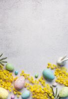 Pastell- Ostern Eier und Gelb Mimose Blumen auf ein Licht grau Hintergrund foto