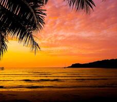 schöner tropischer sonnenuntergangstrand mit palme und rosa himmel für reise und urlaub in der urlaubsentspannungszeit foto