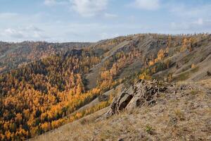 Panorama- Aussicht von das Berg Landschaft, Herbst golden Wald, klar Himmel Overhead, draussen Aktivitäten, Wandern im das Berge. foto