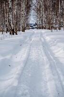 Winter Straße im das Wald. Schneemobil Fußabdrücke foto