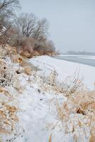 Frühling hat kommen. Eis schmilzt auf das Fluss. zuletzt Schnee. Fluss Bank im das Schnee. schneebedeckt Bäume. das Schönheit von Natur. Winter. Russland foto