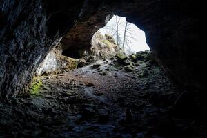 das Ausfahrt von das Höhle. Sonnenlicht dringt ein und leuchtet das Ausfahrt von das Höhle, das Wände sind bedeckt mit Grün Moos. erkunden Höhlen und Tierwelt. hoch Qualität Foto