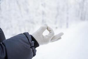 Hände im Handschuhe gegen das Hintergrund von das Winter Wald. Winter ist Kommen. ein gehen im ein schneebedeckt Weiß Hain. eisig Wind, gefroren Hände foto