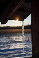 Eiszapfen auf das Dach. Winter Zeit und natürlich Phänomene. Sonnenuntergang Strahlen von Licht bestehen durch das dünn Eiszapfen. foto