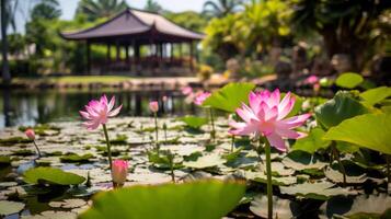 ai generiert ein heiter Lotus Teich mit Blühen Blumen foto