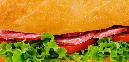 Italienisch Sandwich mit Salami und Grüner Salat Hintergrund foto