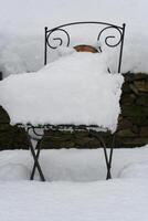 ein Stuhl bedeckt im Schnee foto