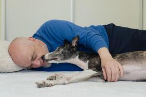 reifen Mann und seine Haustier Windhund spielen im Bett. foto