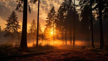 ai generiert Sonnenuntergang Über ein still Wald, Natur Schönheit im Herbst generiert durch ai foto