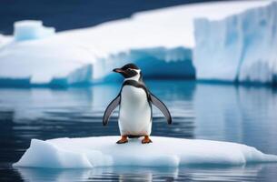 ai generiert Welt Pinguin Tag, ein Erwachsene einsam Pinguin auf ein treiben Eis Scholle, das Königreich von Eis und Schnee, das weit Norden, ein Eisberg im das Ozean foto
