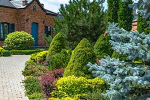 schön Landschaftsbau mit schön Pflanzen und Blumen foto