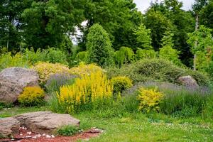 frisch natürlich Sommer- schön Grün Landschaften. Grün Umgebung Botanik Park. foto