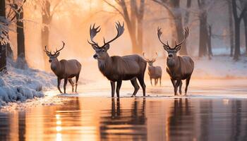 ai generiert Sonnenuntergang Silhouette majestätisch Hirsch steht im still Winter Wildnis generiert durch ai foto