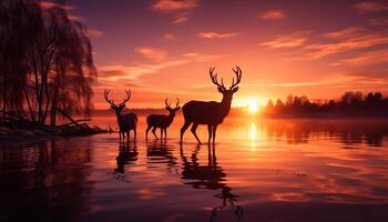 ai generiert Hirsch Silhouette Weiden lassen im still Herbst Wildnis, von hinten beleuchtet durch Sonnenuntergang generiert durch ai foto