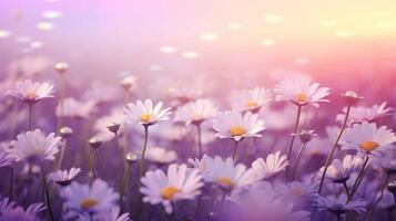 ai generiert ein Feld von Gänseblümchen entfaltet sich mit verträumt Farbtöne, Übergang von lila zu Rosa unter ein Sanft Himmel. ai generiert. foto