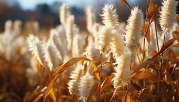 ai generiert schließen oben von reif Weizen im ein golden Wiese generiert durch ai foto