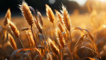 ai generiert Landwirtschaft Schönheit im Natur Gelb Weizen Wachstum unter Sommer- Sonnenlicht generiert durch ai foto