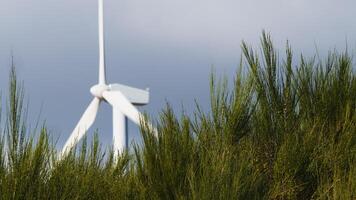 Wind Turbine umgeben durch Natur foto