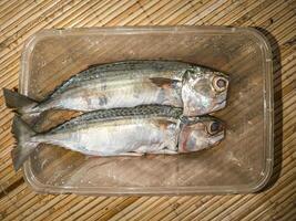 zwei roh Makrele Fisch Vor Kochen foto