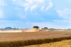 Korn Ernte Ausrüstung im das Feld. Ernte Zeit. landwirtschaftlich Sektor foto