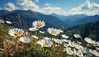 ai generiert das Wiese Schönheit im Natur Sommer- Gelb Gänseblümchen generiert durch ai foto