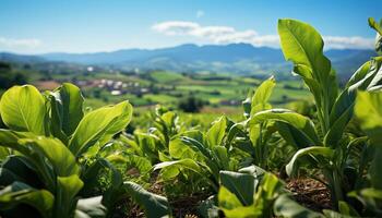ai generiert frisch Grün Tee Blätter wachsen im ein schön Berg Landschaft generiert durch ai foto