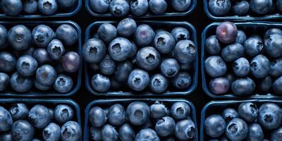 ai generiert frisch Blaubeeren im Plastik Körbe. wild reif Beeren im Behälter. organisch Lebensmittel. generativ ai foto