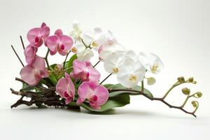 ai generiert elegant Orchideen Anzeige auf neutral Hintergrund foto